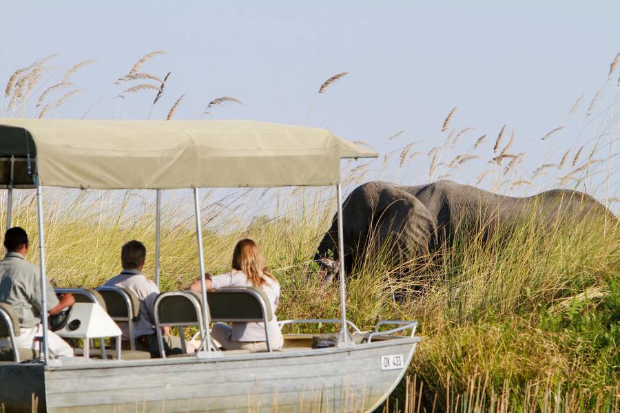 9-Day Desert and Delta Ultra-Lux Safari