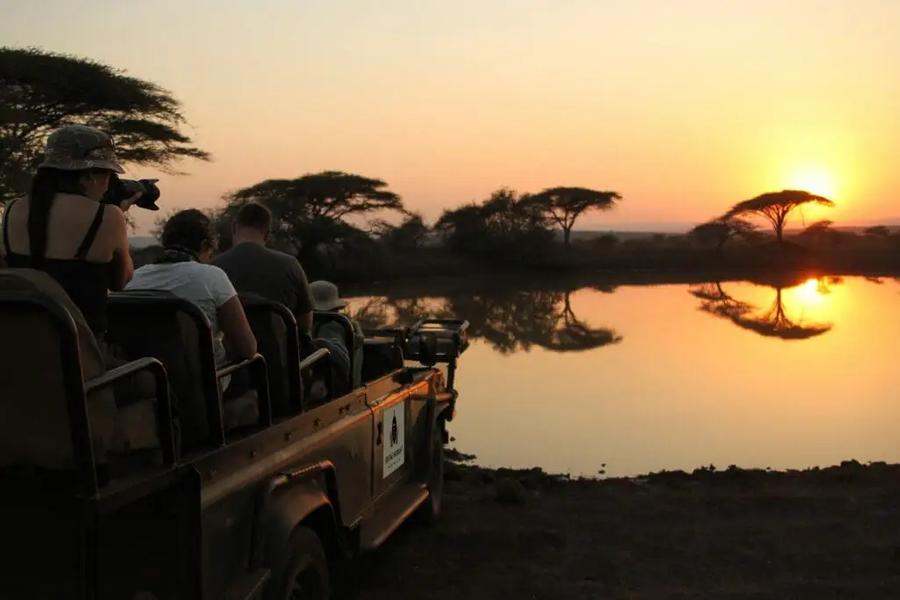 Thanda Safari Lodge