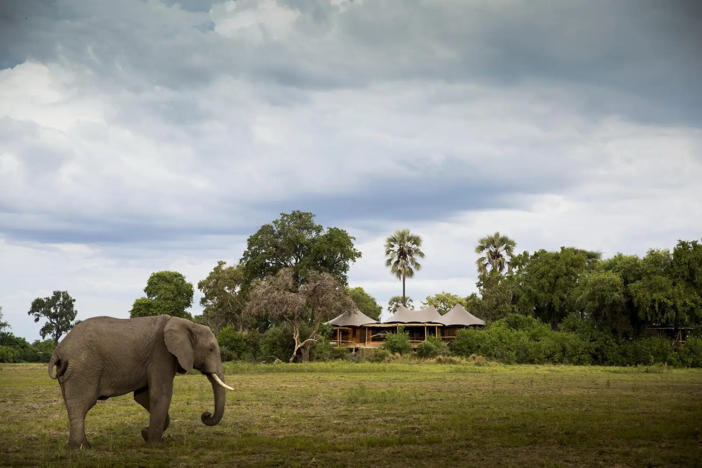 Okavango Delta