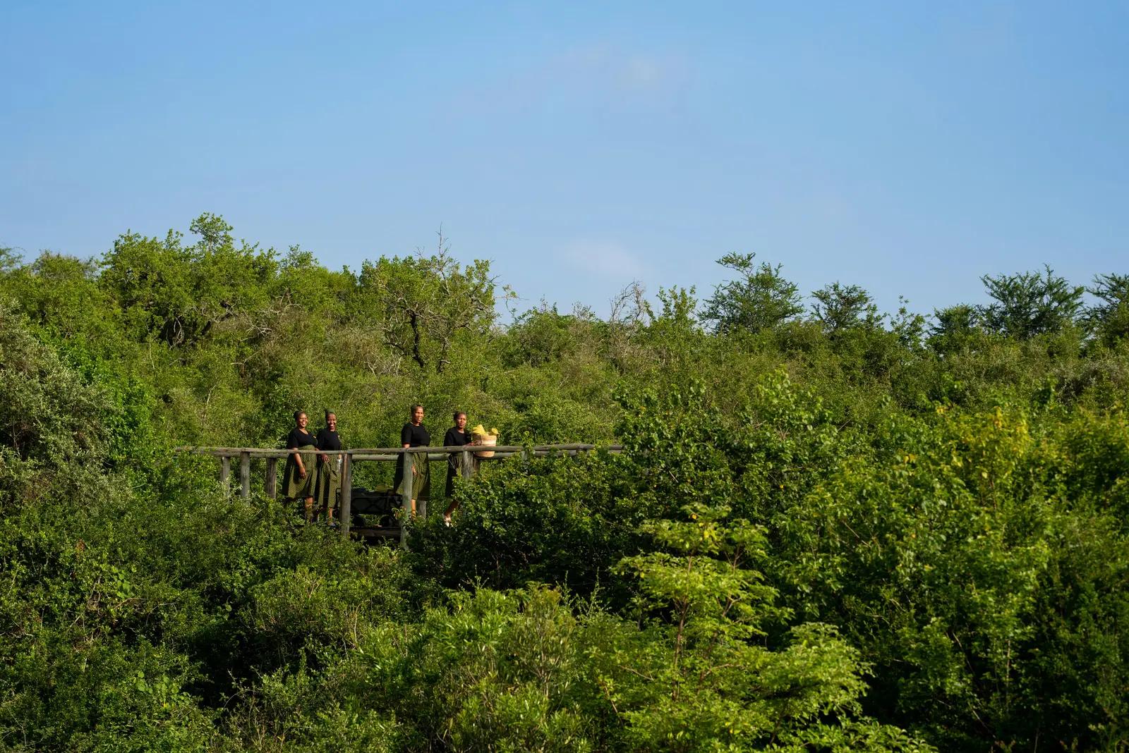 Biyela Lodge