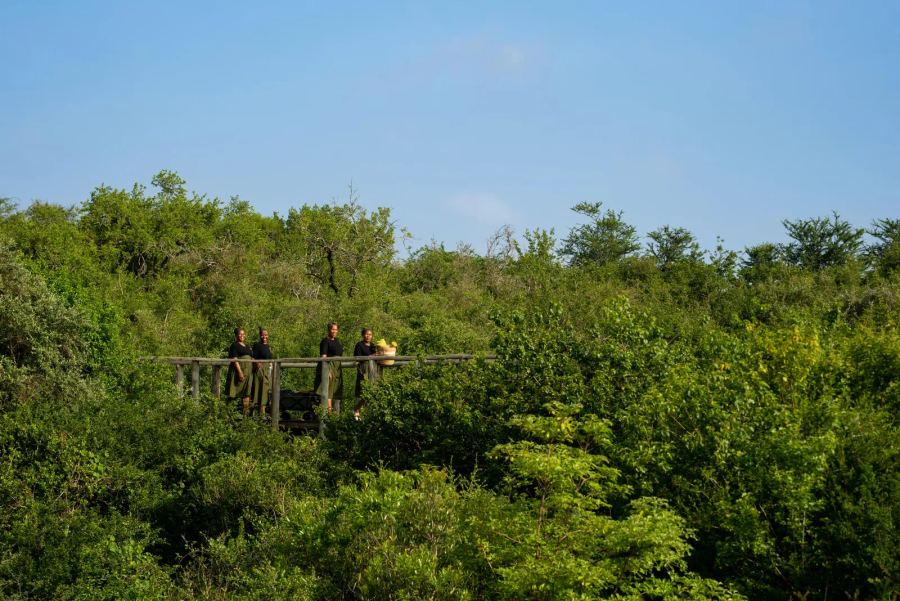 Biyela Lodge