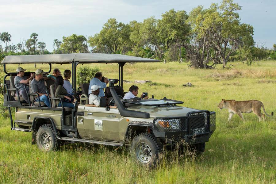 Gomoti Plains