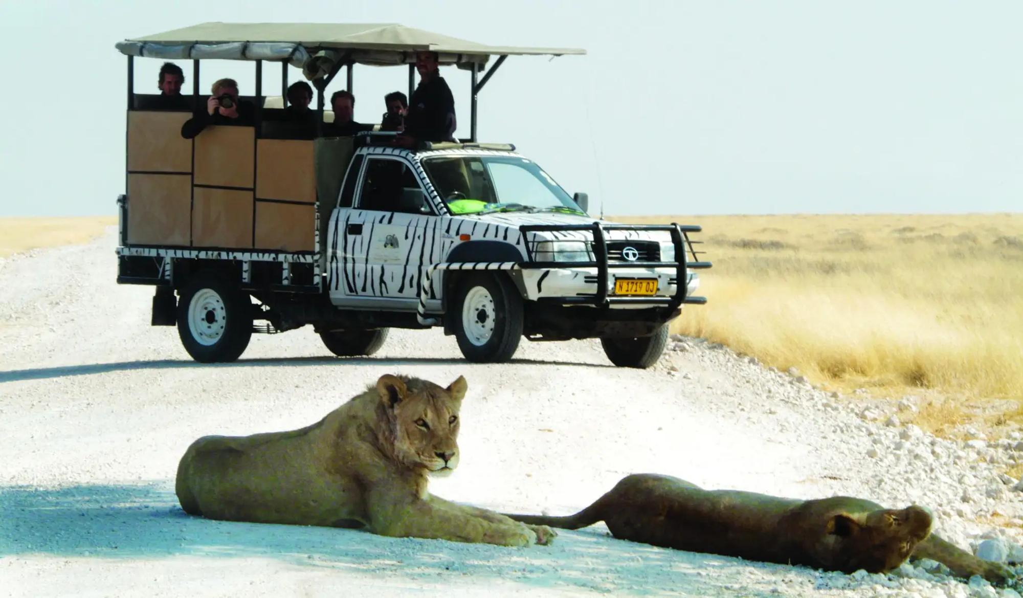 7-Day Northern Namibian Adventure Tour