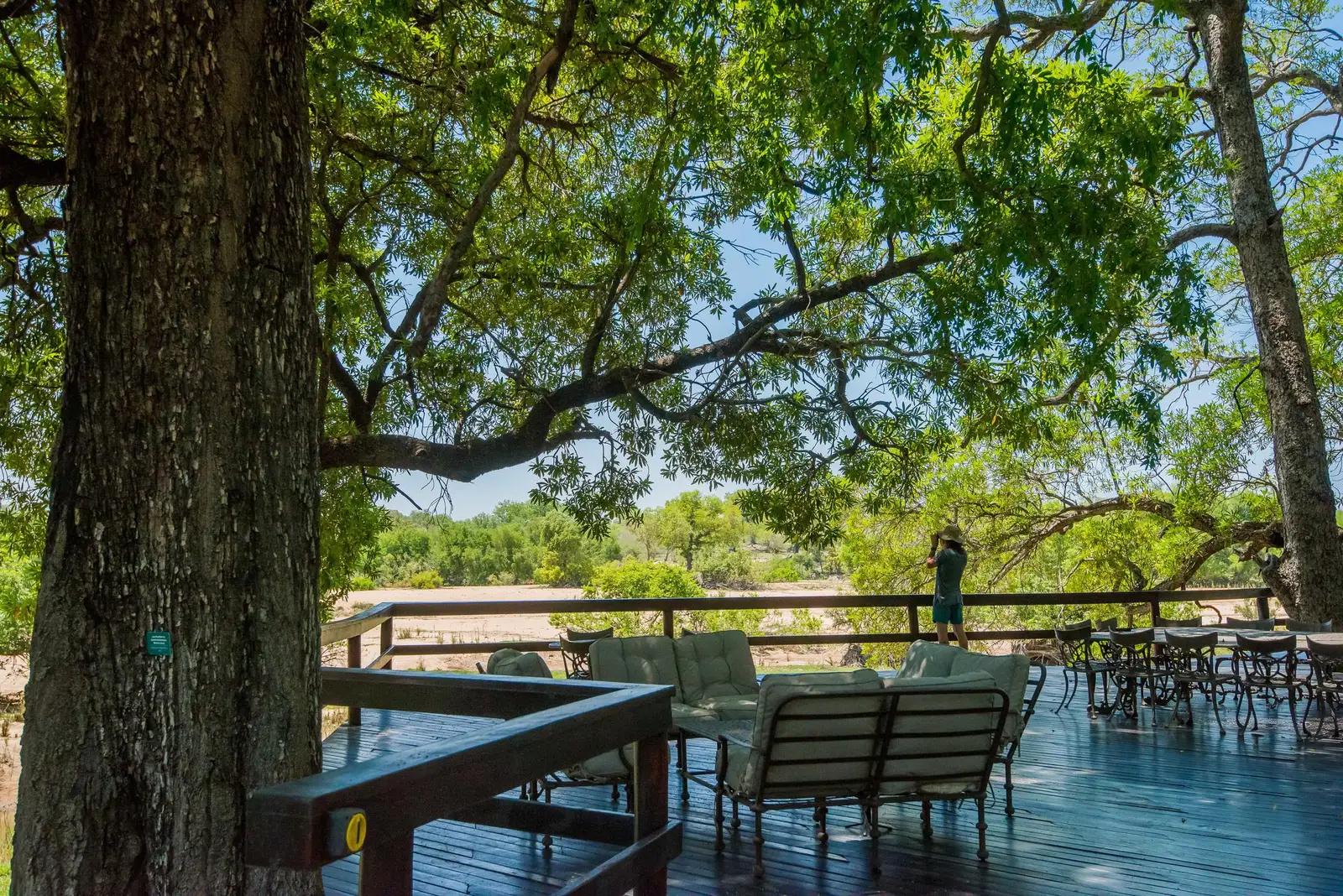 4 Day Lush Sabi Sand River Safari