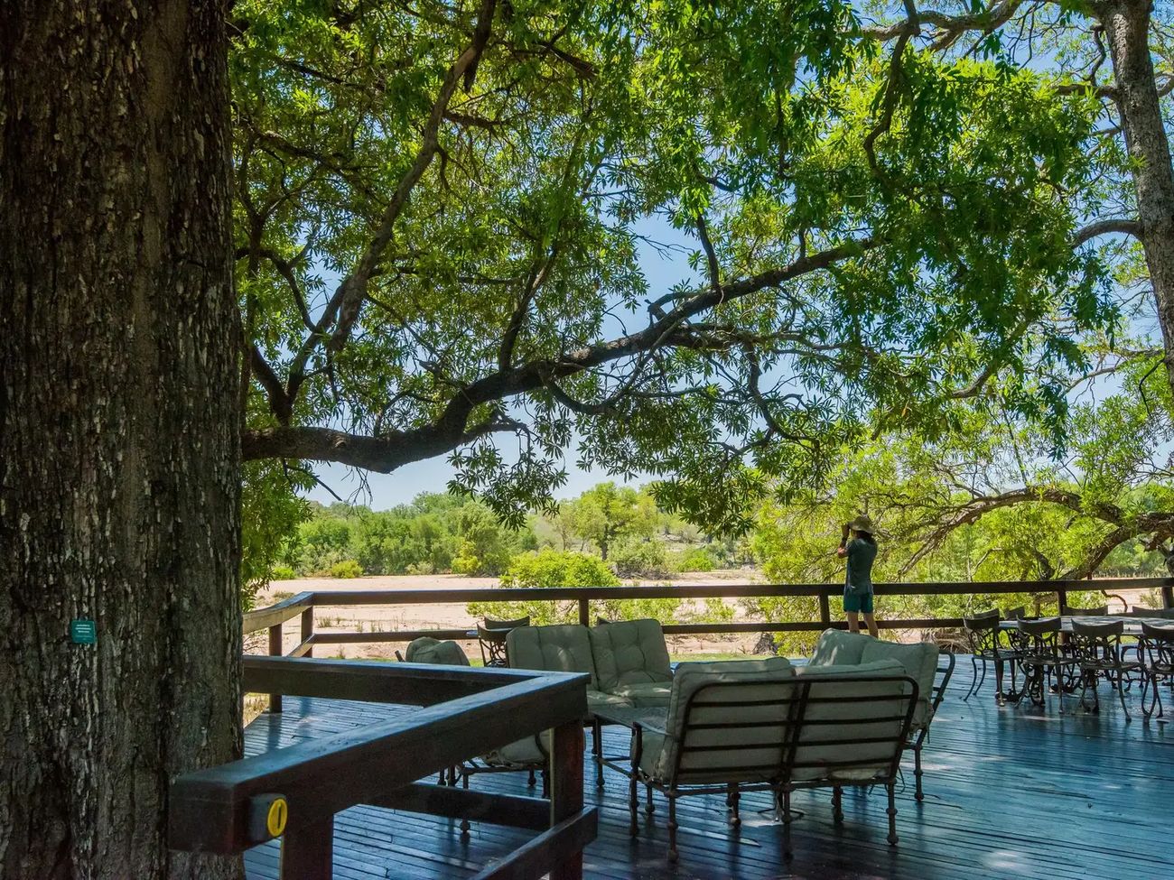 4 Day Lush Sabi Sand River Safari