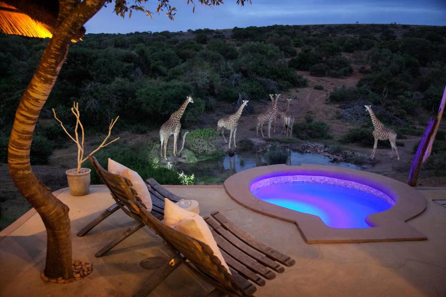 7-Day Luxury Cape Town To Amakhala - Beach & Bush Safari