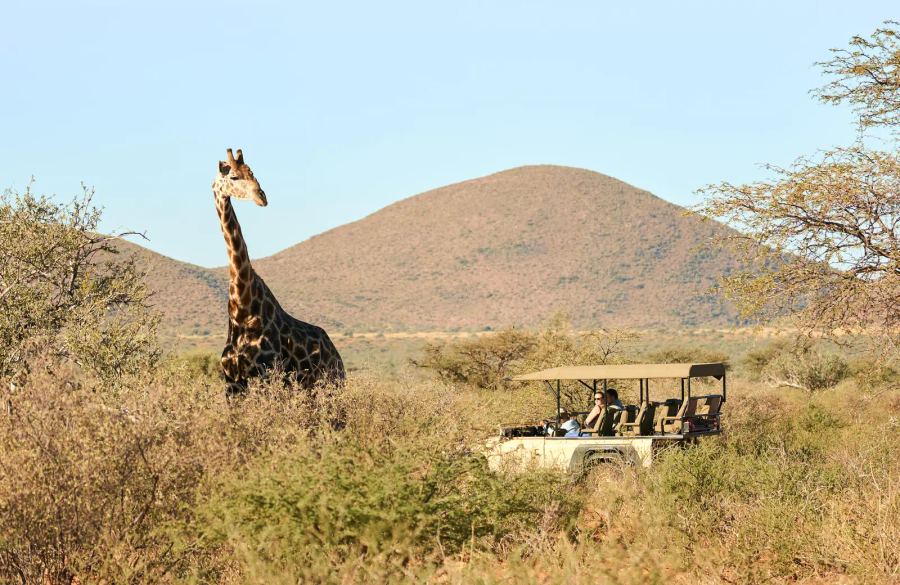 11 Day Cape Town, Tswalu and Kruger 