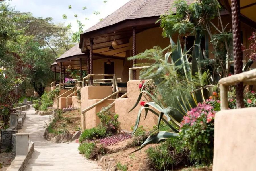 9-Day Kenya & Rwanda Safari: Big Five, Maasai Mara & Gorilla Trekking Tour