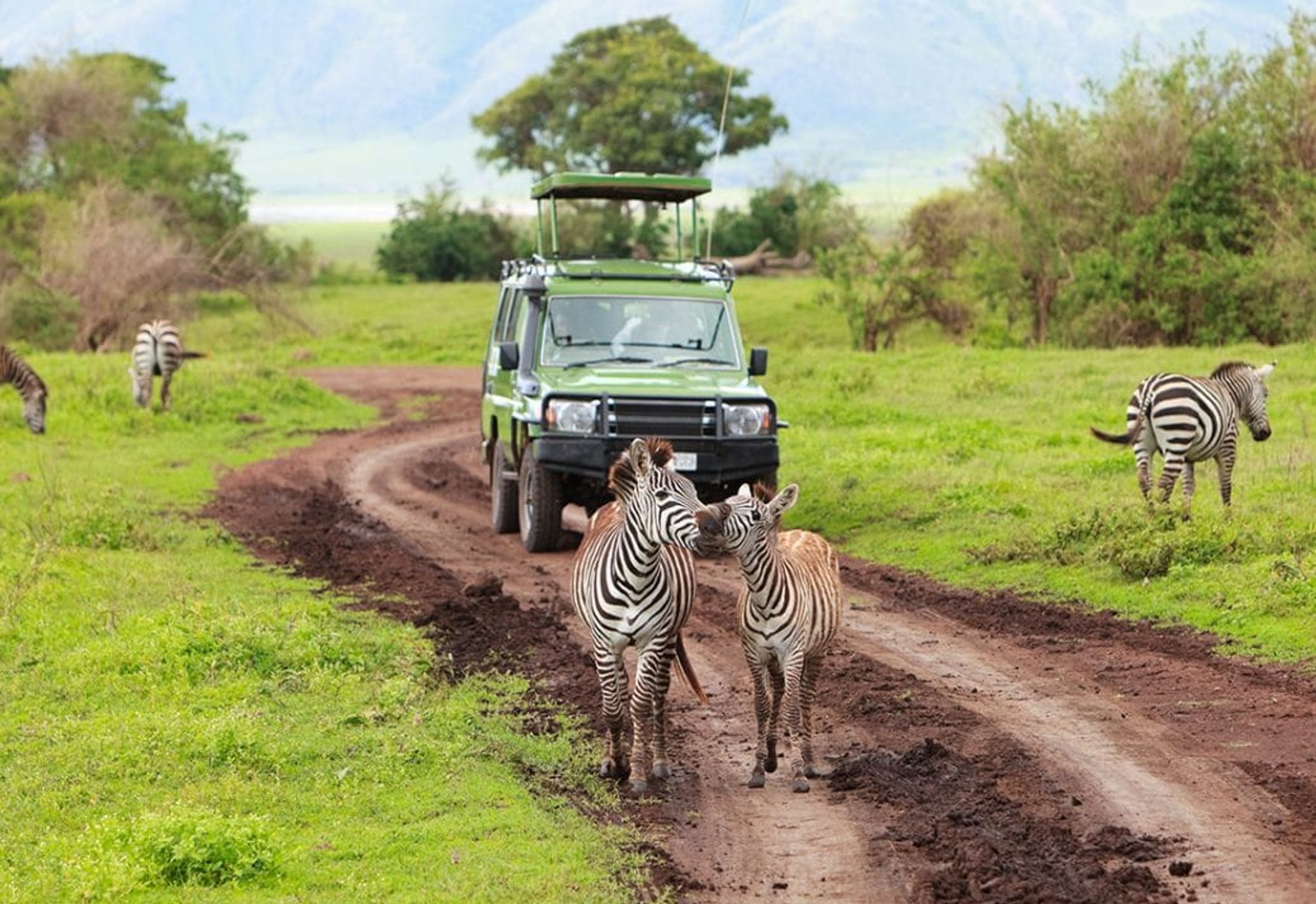 What is an African Safari
