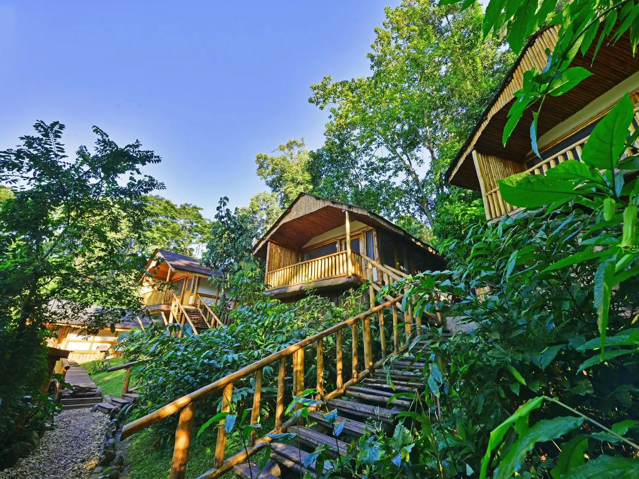 Buhoma Lodge