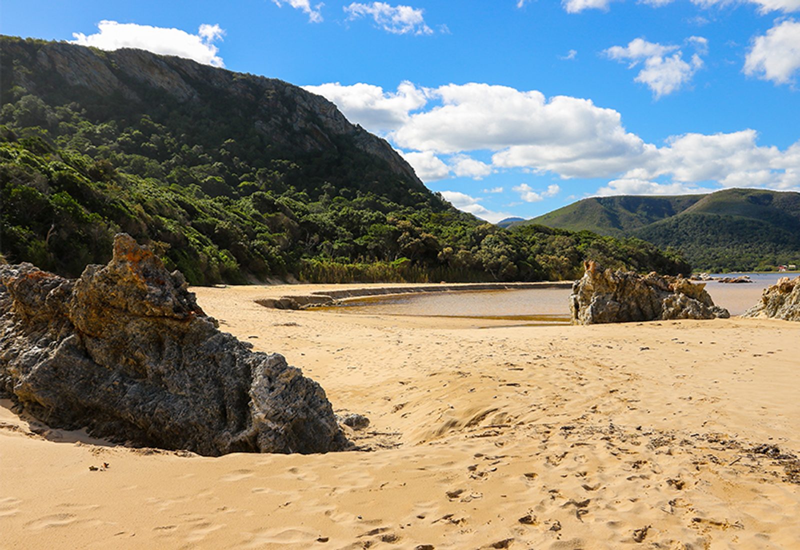 plettenberg bay beach south africa