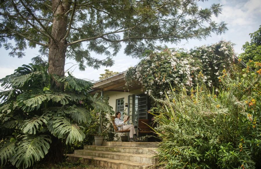 10-Day Exclusive Safari: Tanzania to Kenya