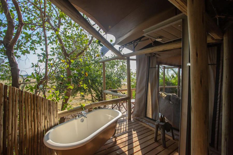 Jacana Camp