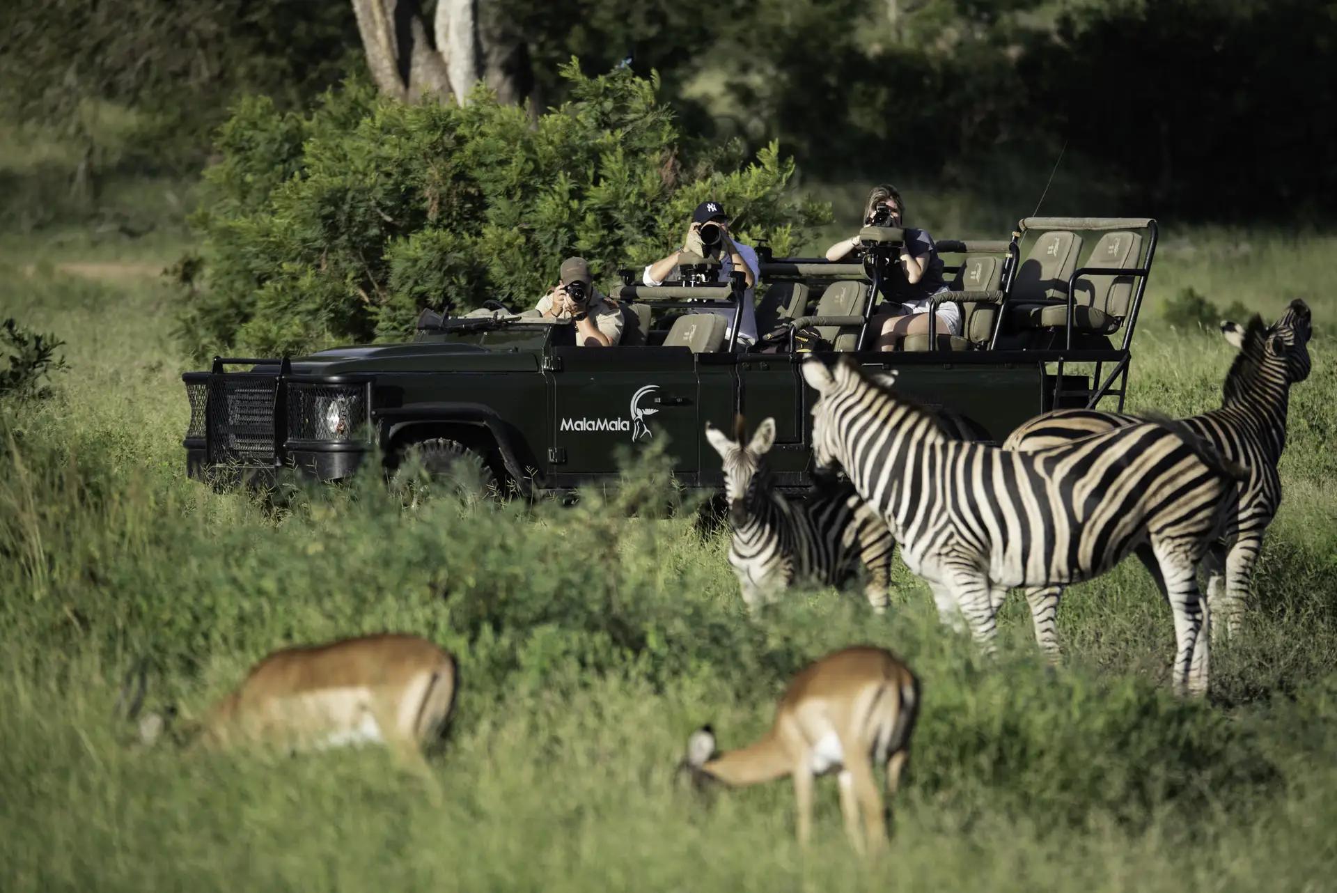 3-Day Mala Mala - Best Big 5 Safari in the World