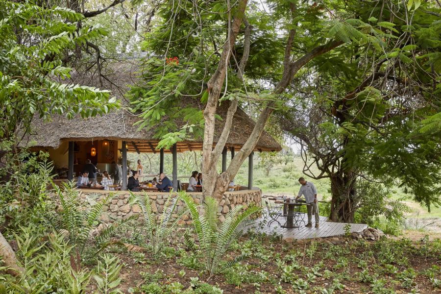 5 Day Fly-in Safari to Timbavati Game Reserve