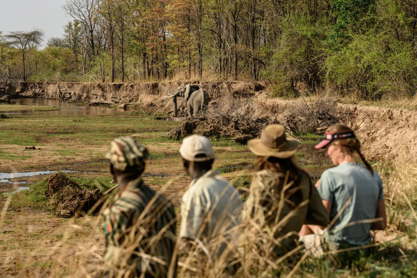 Enjoy the scenic beauty of the North Luangwa National Park.