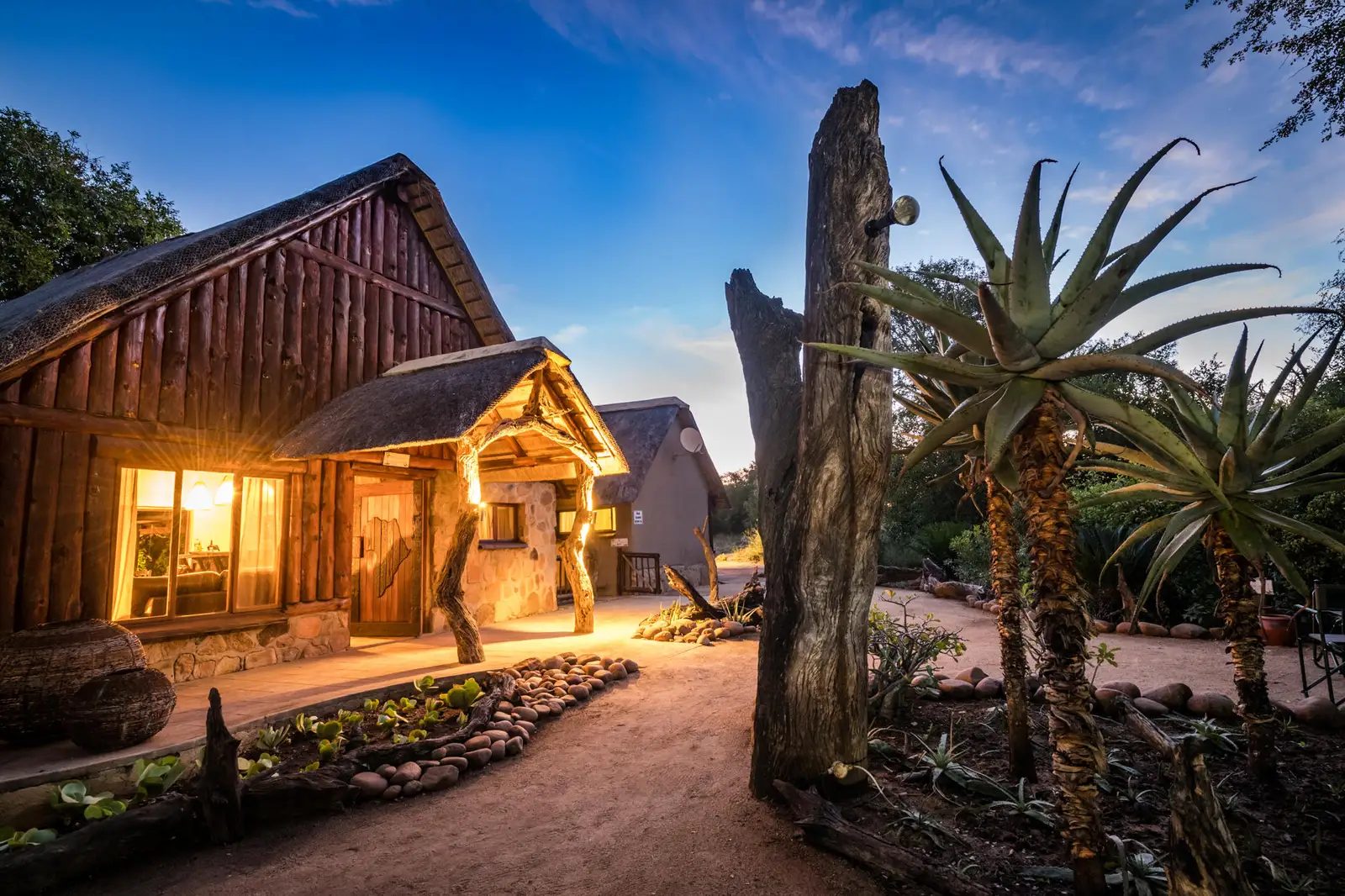 Timber and thatch entrance of Umkumbe Bush Lodge lit at dusk with aloes and a dead-tree sculpture in front