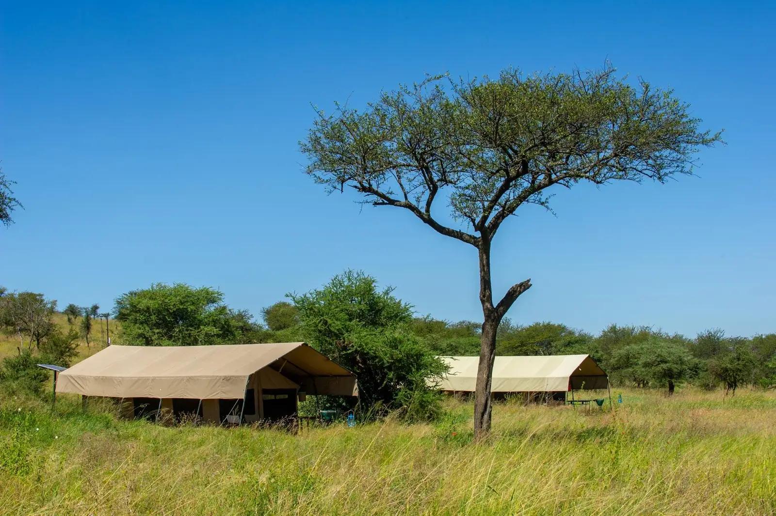 Serengeti Kati Kati Camp