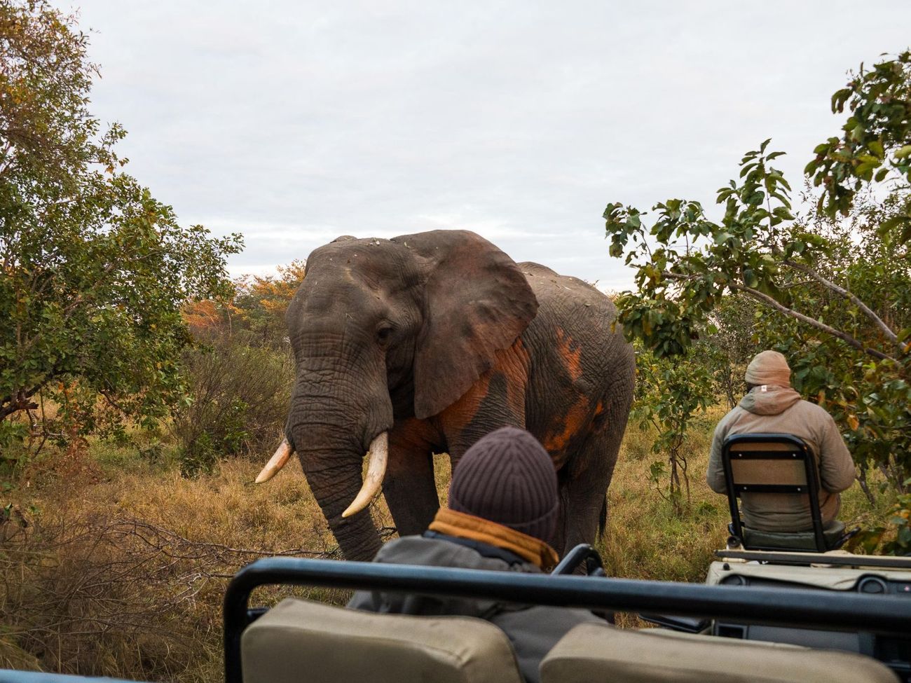 Inyati Game Lodge