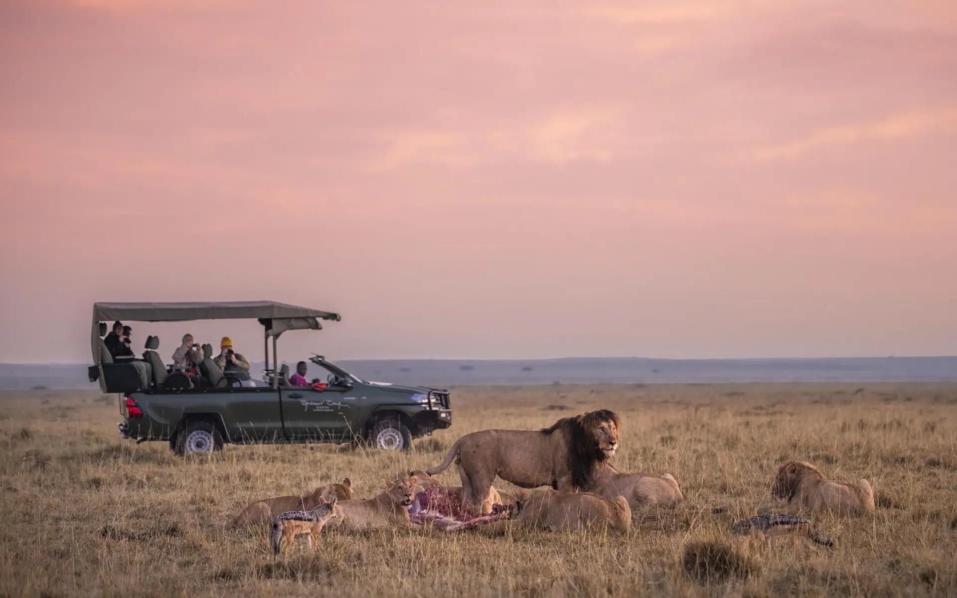7-Day All-Inclusive Masai Mara to Zanzibar Safari