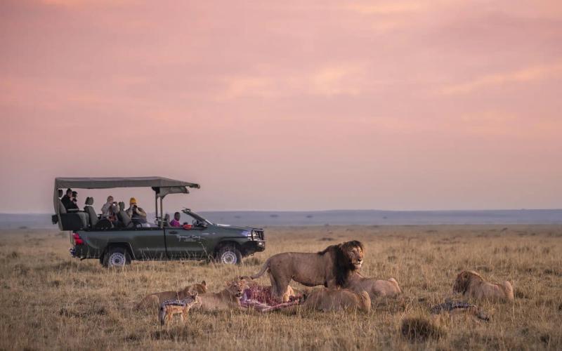 7-Day All-Inclusive Masai Mara to Zanzibar Safari