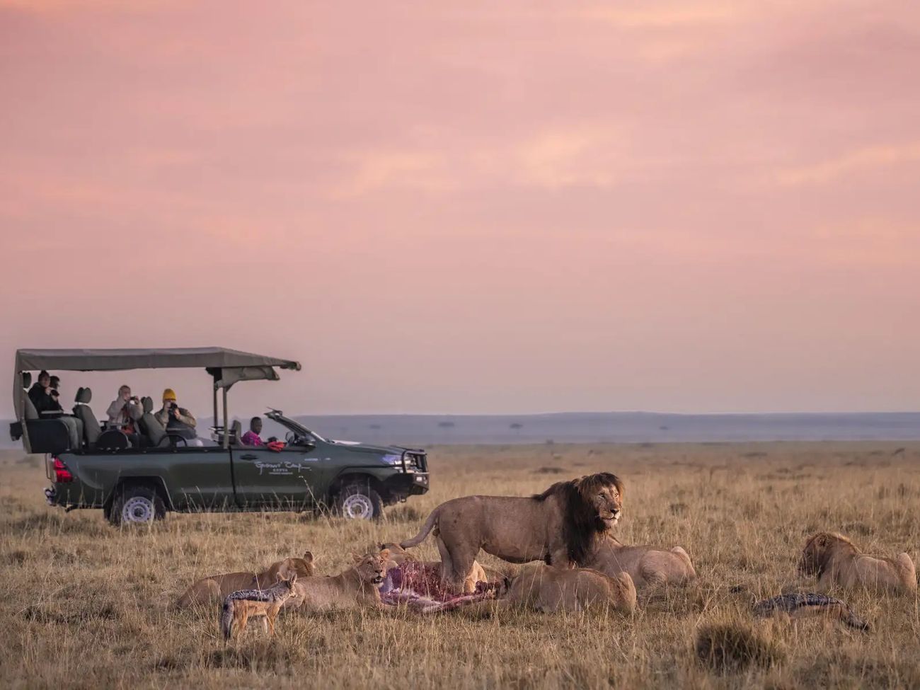7-Day All-Inclusive Masai Mara to Zanzibar Safari