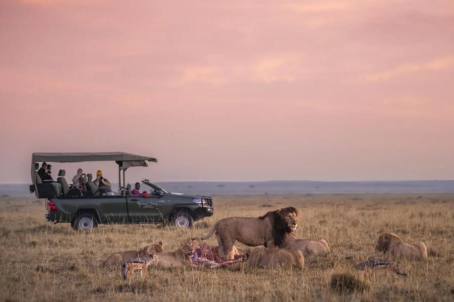7-Day All-Inclusive Masai Mara to Zanzibar Safari