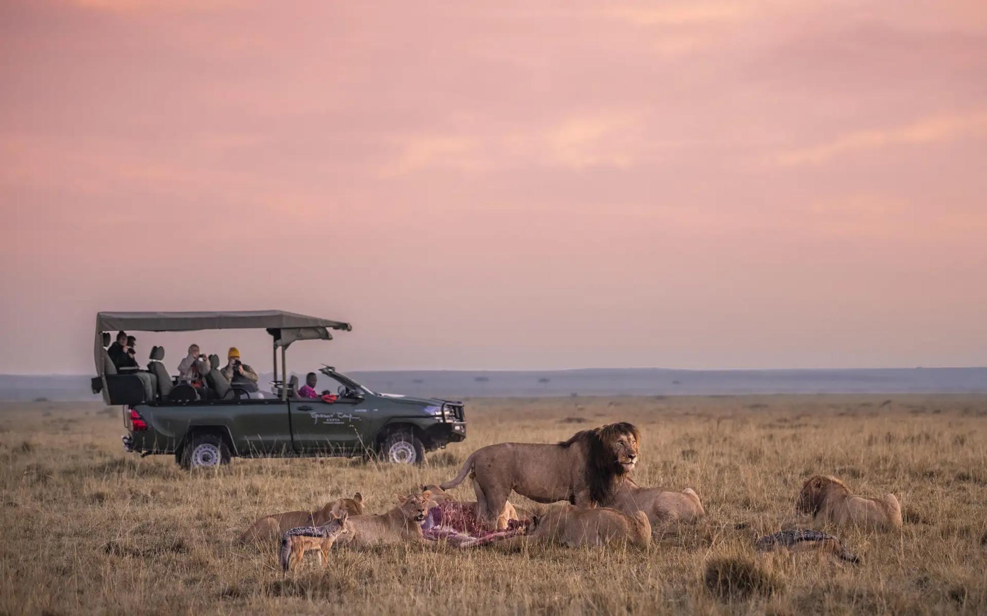 7-Day All-Inclusive Masai Mara to Zanzibar Safari