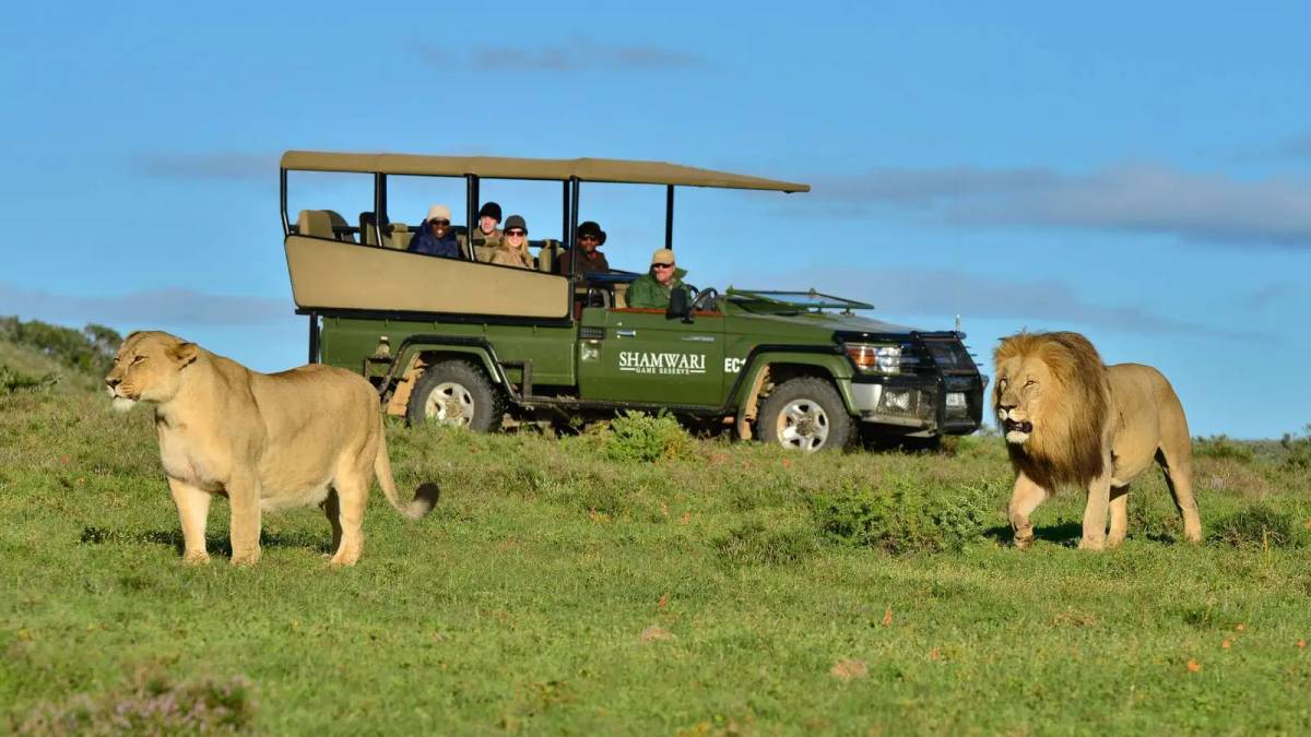 Shamwari Game Reserve