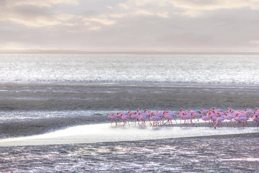 Walvis Bay
