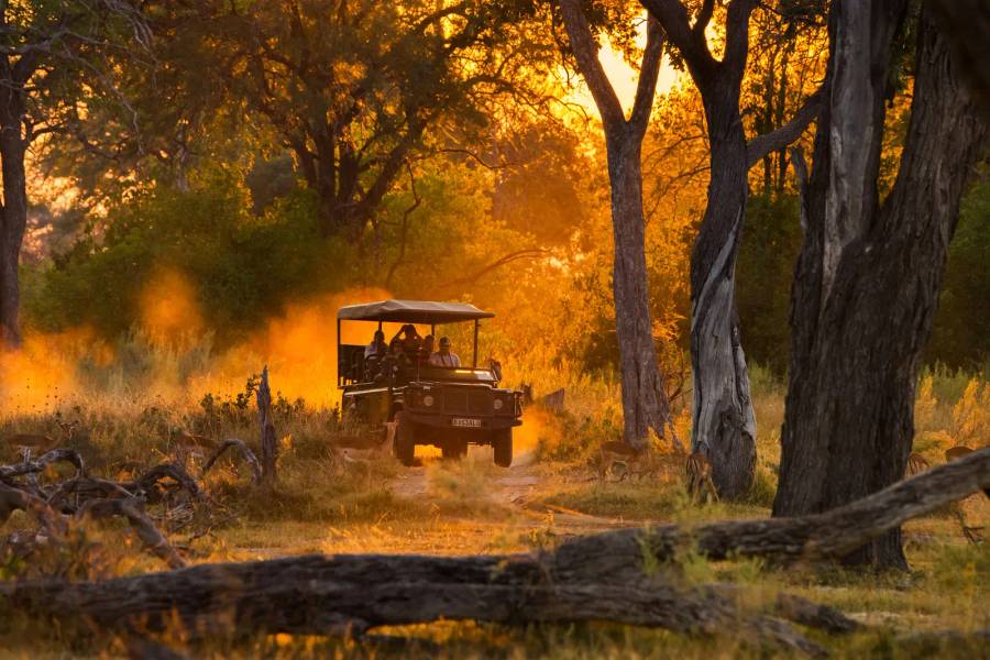 Moremi Game Reserve