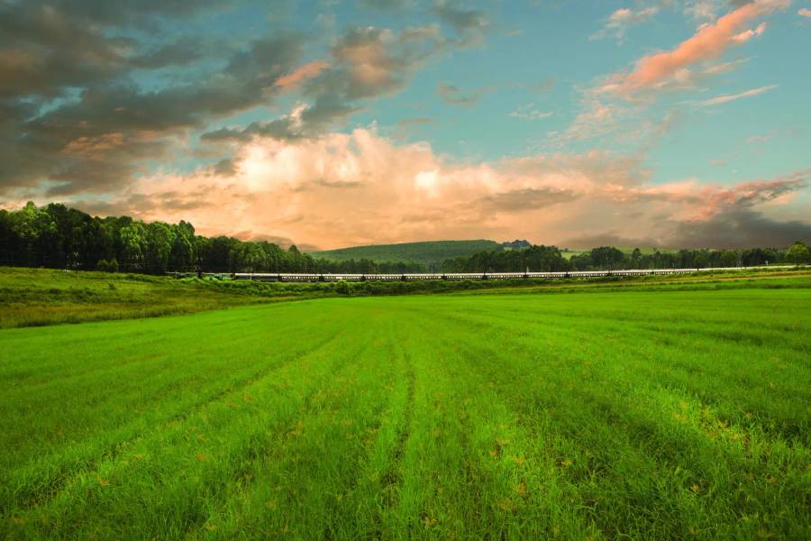 7 Day Cape Town to Durban Rovos Rail