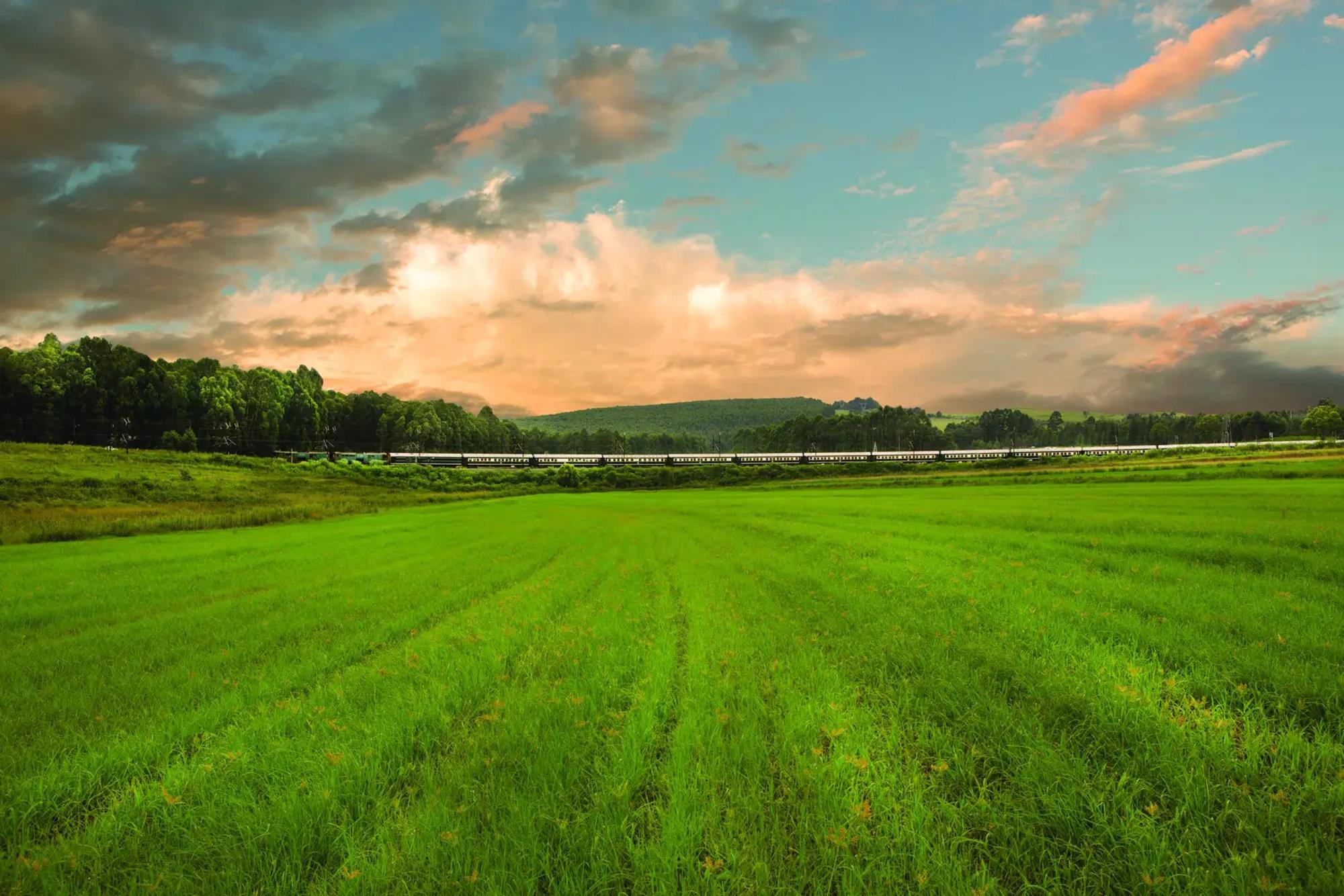 7 Day Cape Town to Durban Rovos Rail