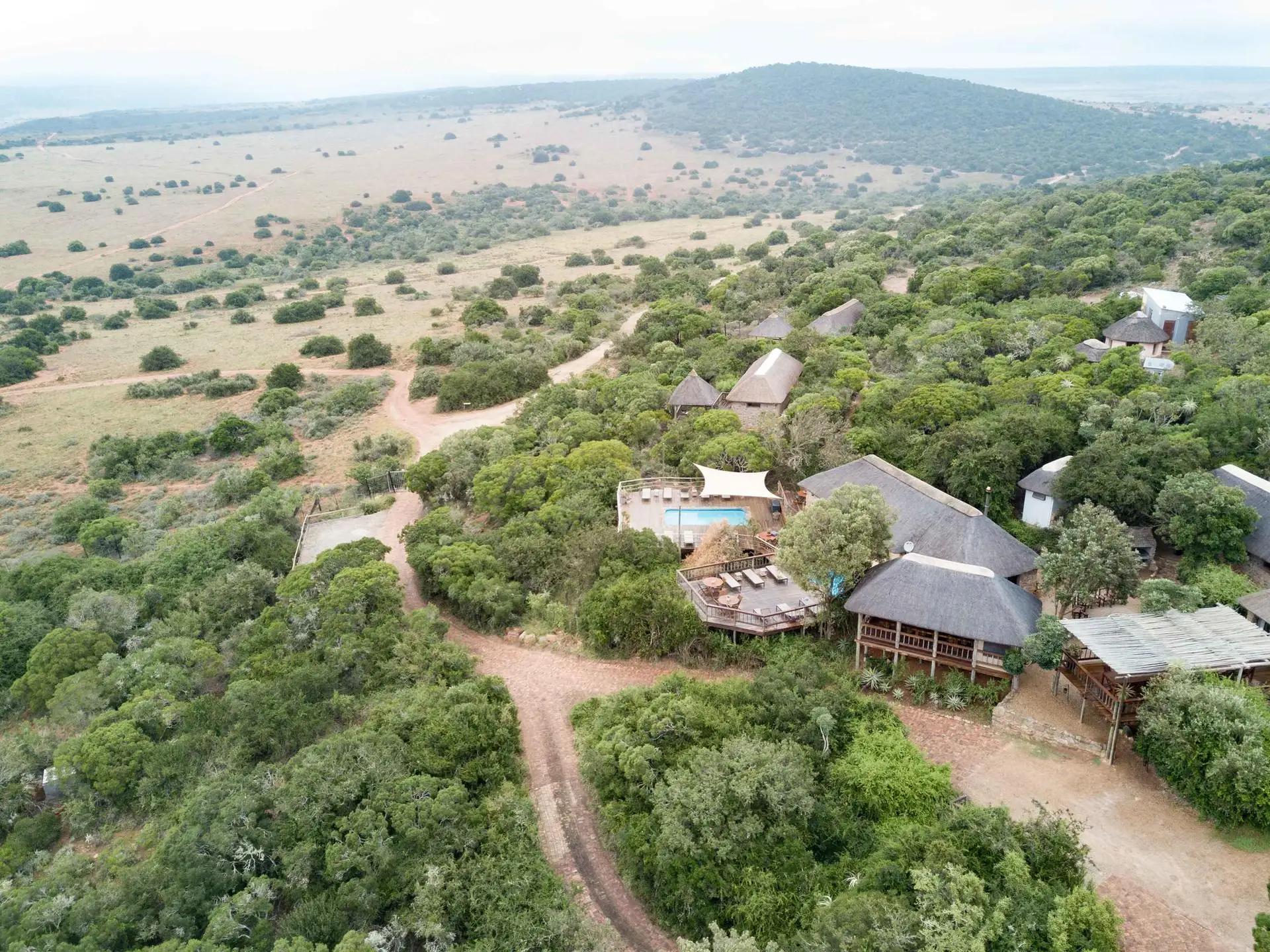 7-Day Malaria Free Big-5 Amakhala Safari Best of Both