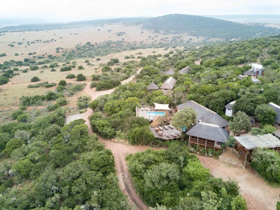 7-Day Malaria Free Big-5 Amakhala Safari Best of Both