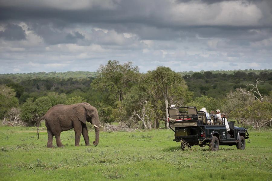 Londolozi Founders Camp