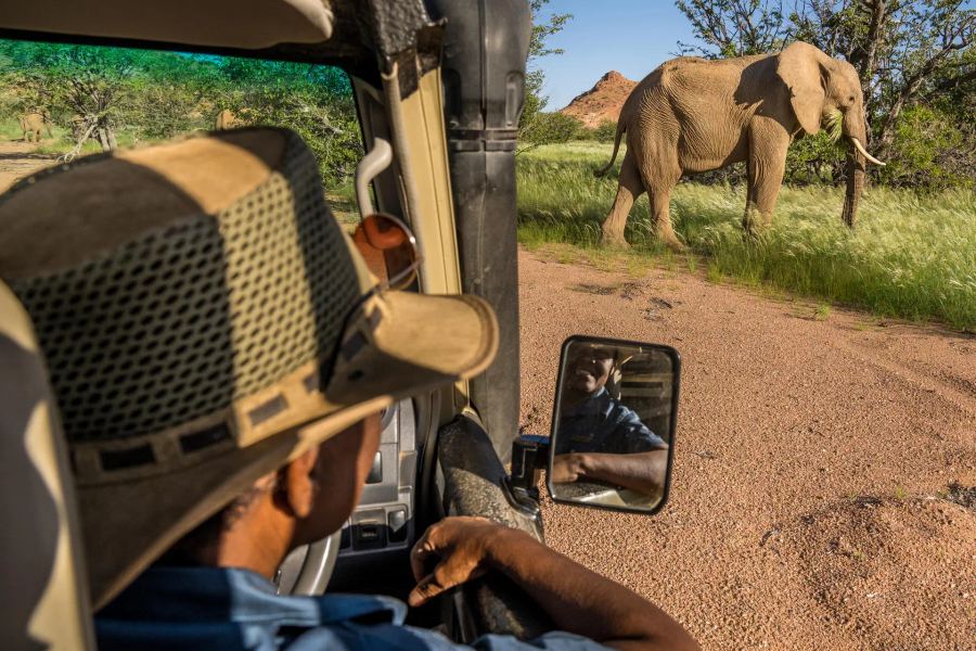 10 day Namibia North (Bush & Beach)