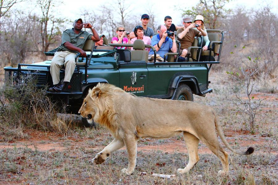 5 Day Fly-in Safari to Timbavati Game Reserve