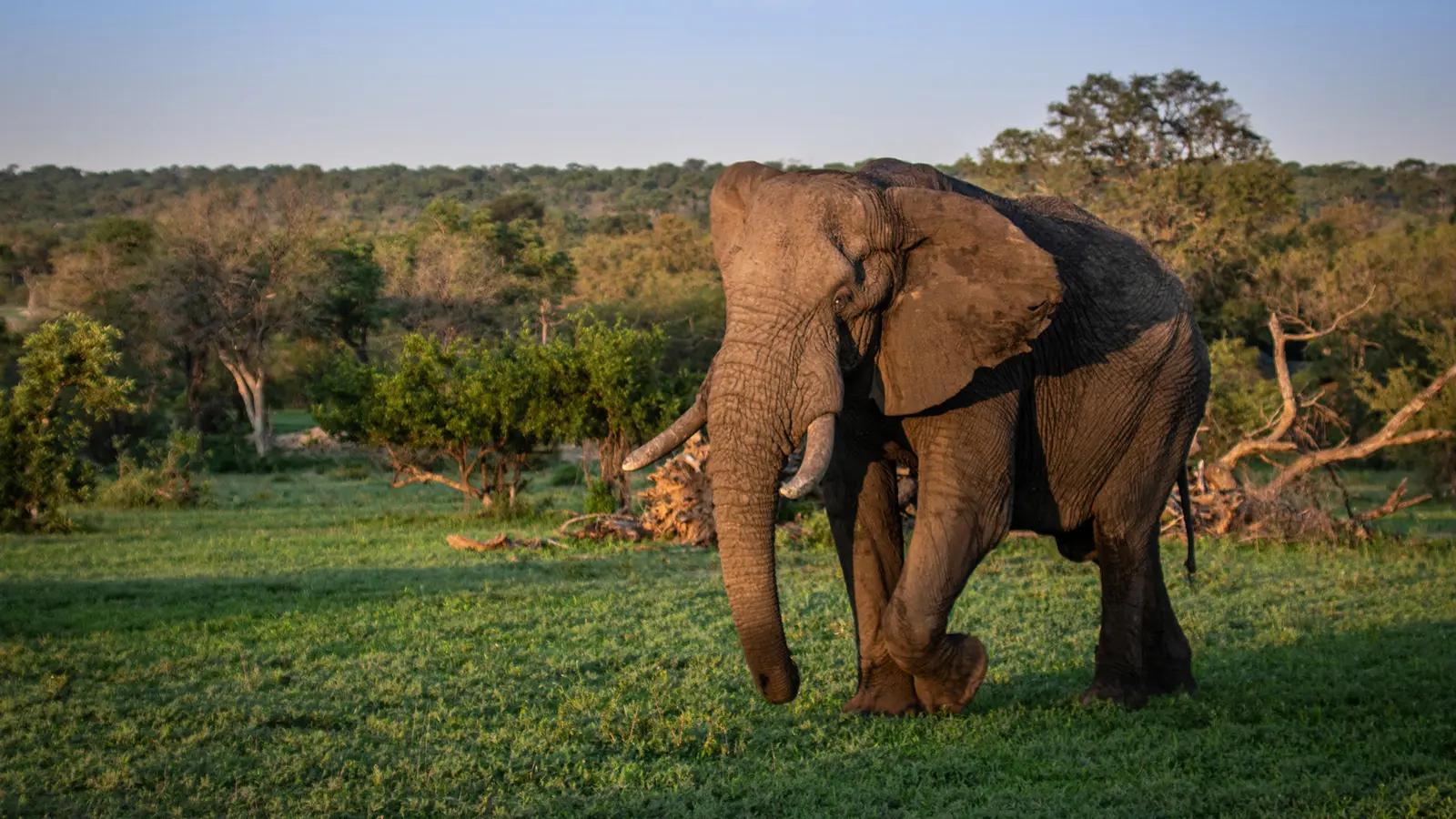Serondella Game Lodge