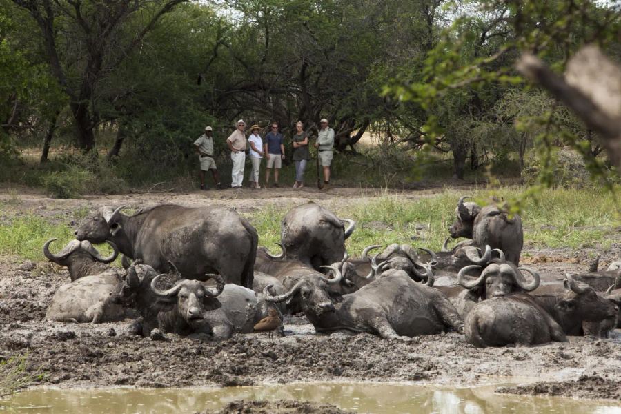 7 Day Timeless Kruger & Cape Town Safari