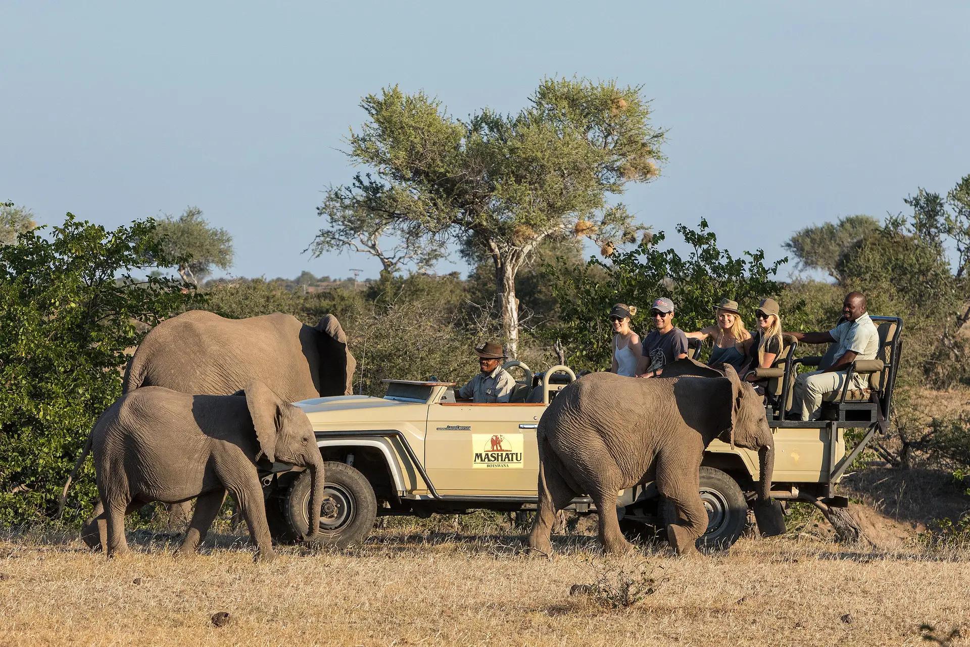 Tuli Safari Lodge