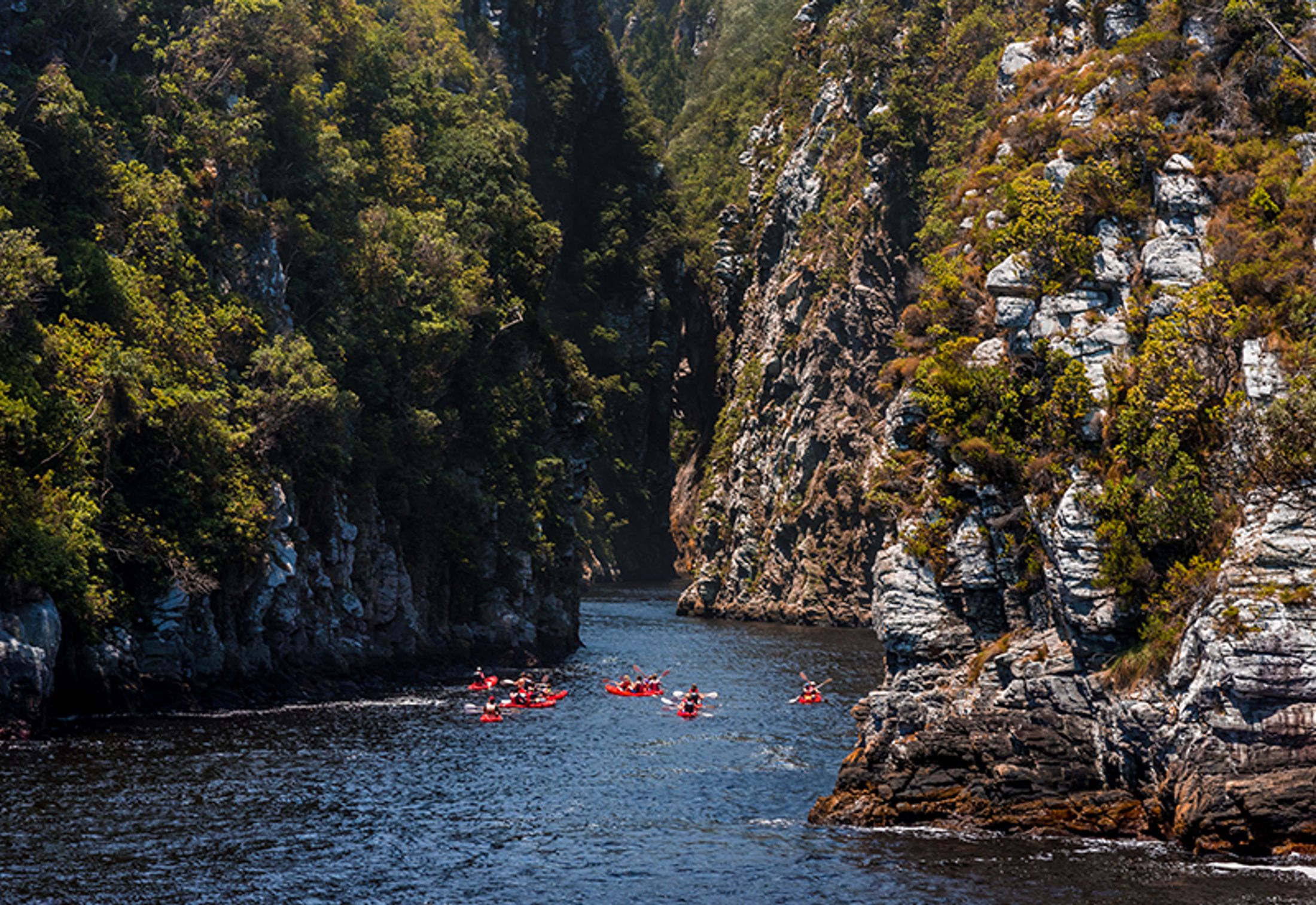 The Ultimate Guide to Storms River Mouth Restcamp