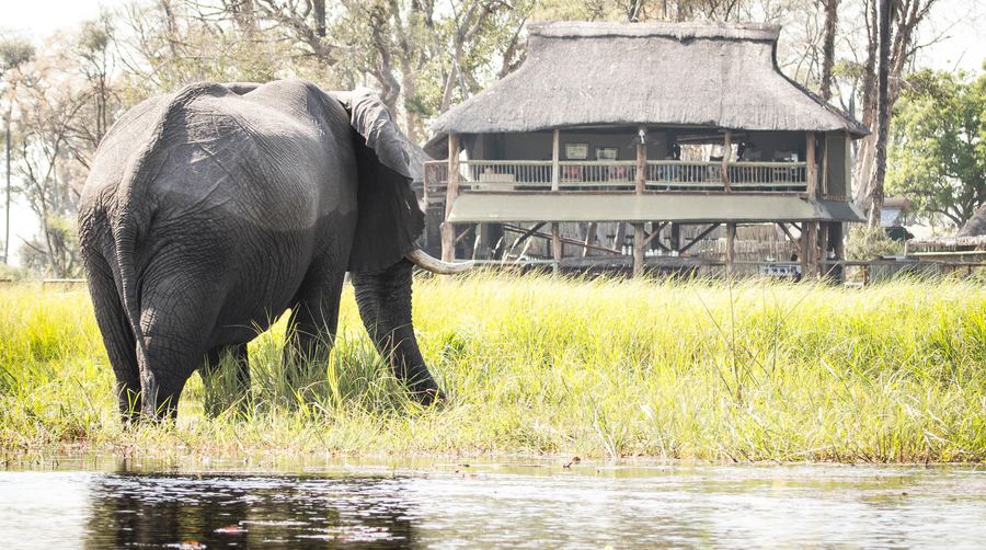 5 Day Magical Moremi & Okavango Delta