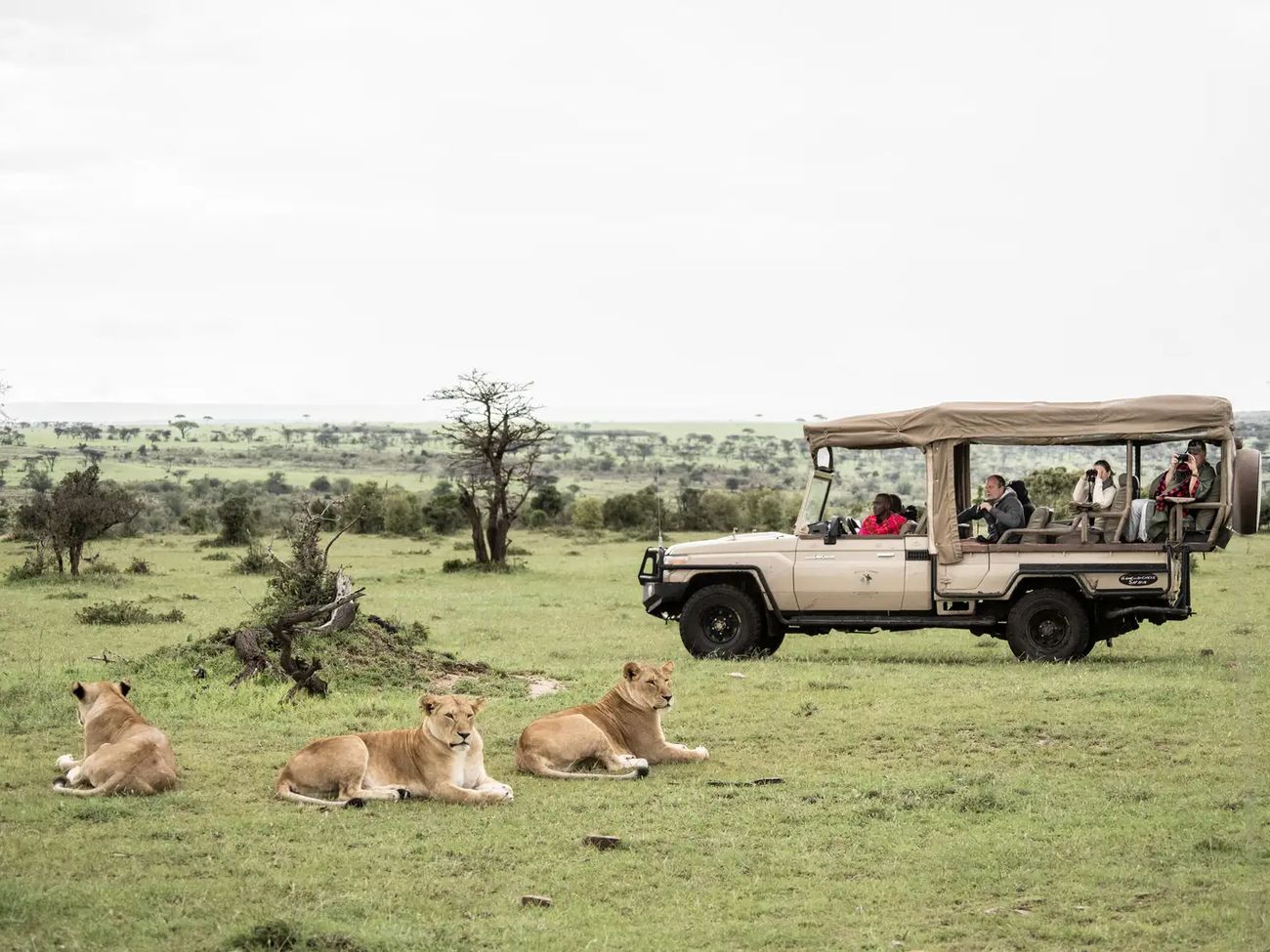 Porini Lion Camp