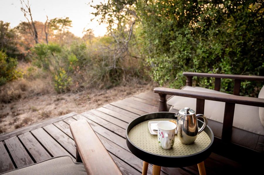 5-Day Thornybush Fly-In Package