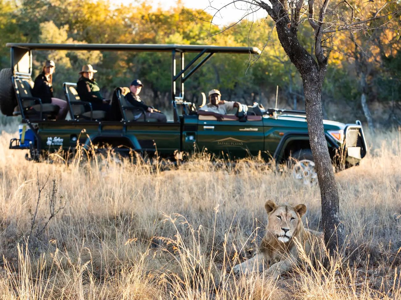 Safari Plains