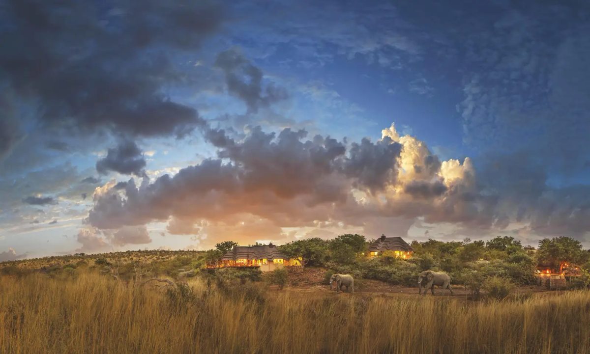 5 Day Madikwe Big 5 Safari Escape