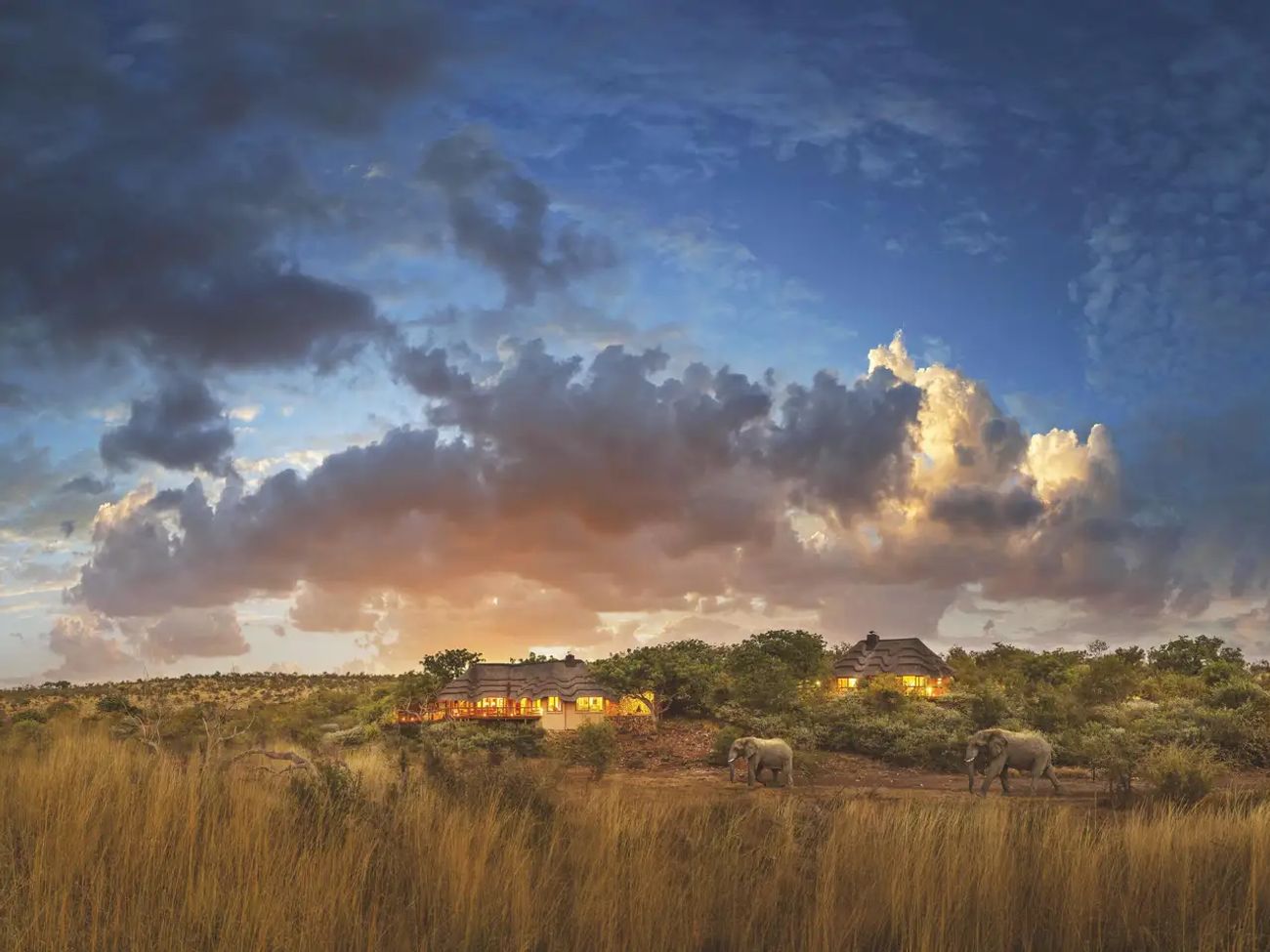 5 Day Madikwe Big 5 Safari Escape