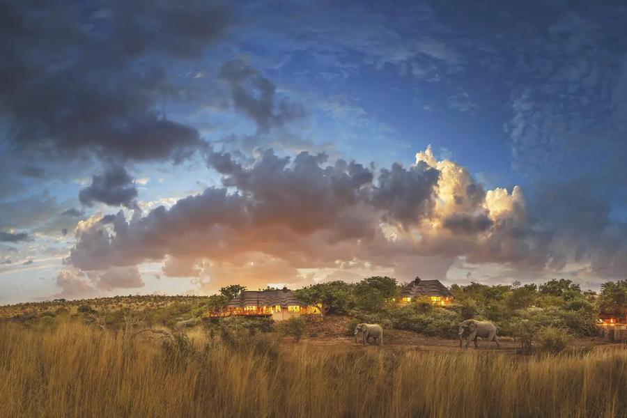 5 Day Madikwe Big 5 Safari Escape