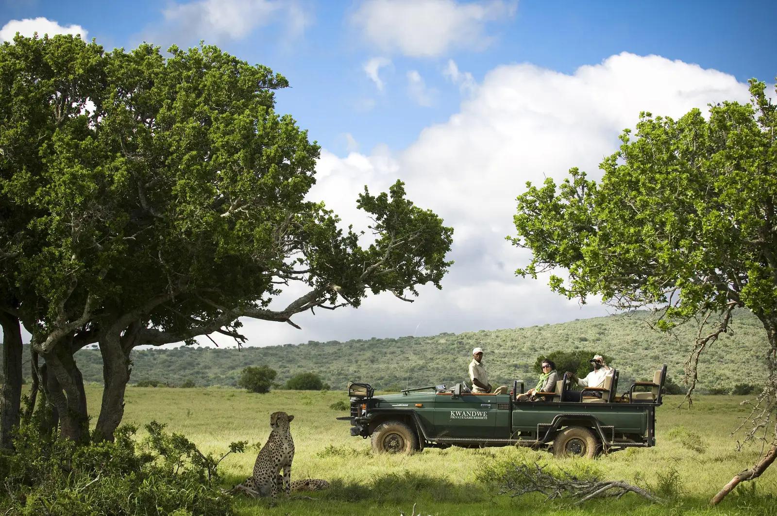 10 Day Kwandwe, Garden Route and Cape Town